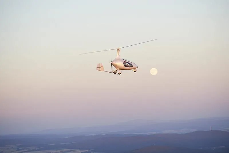 Cavalon Pro — photo 10